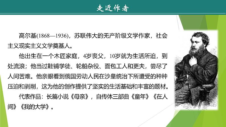 课件：部编版语文九年级下册第4课　海燕第5页