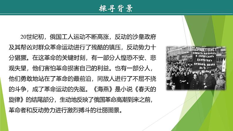 课件：部编版语文九年级下册第4课　海燕第6页