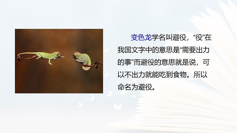 课件：部编版语文九年级下册第6课 变色龙第2页