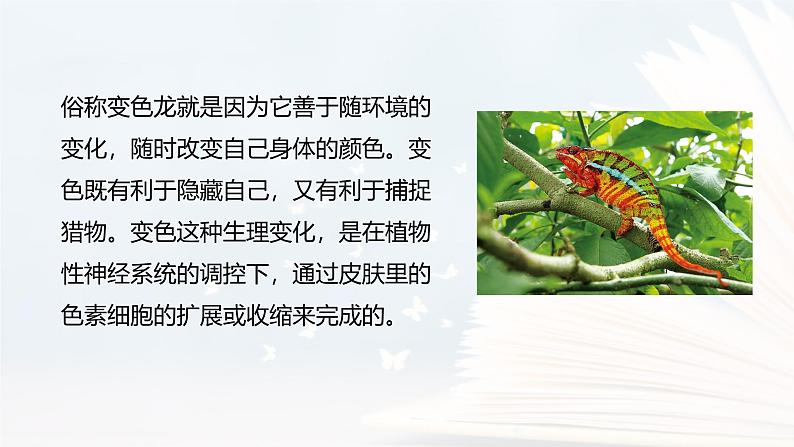 课件：部编版语文九年级下册第6课 变色龙第3页