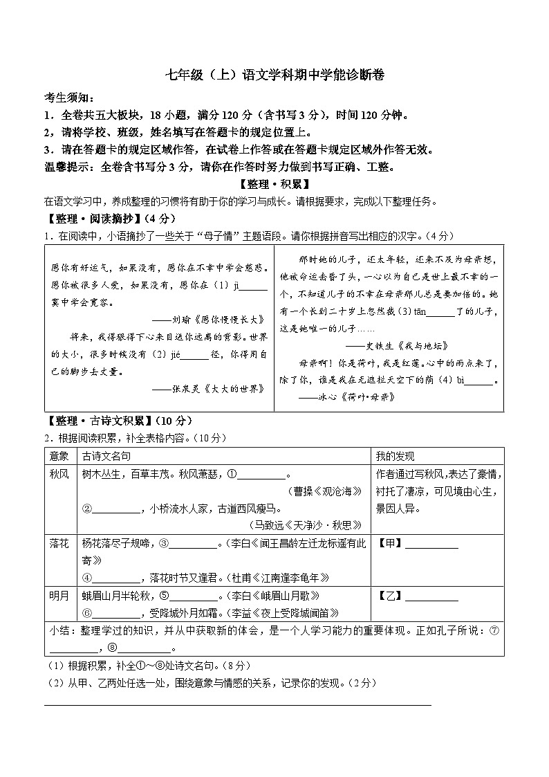 浙江省温州市鹿城区2024-2025学年七年级上学期期中语文试题第1页