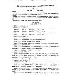 四川省成都市第七中学初中学校2024-2025学年九年级上学期11月期中语文试题