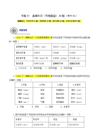 (长沙专用)初中语文七年级下册期中复习练习专题01  基础知识（传统题型）40题（2份，原卷版+解析版）