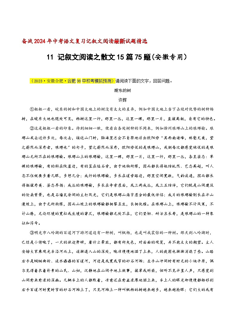 中考语文二轮复习记叙文阅读精选11 记叙文阅读之散文15篇75题（安徽专用）（原卷版）第1页