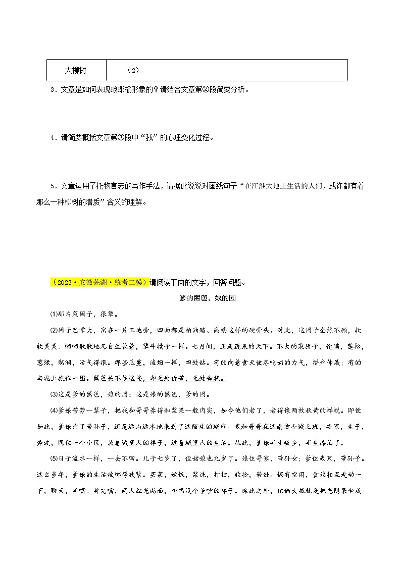 中考语文二轮复习记叙文阅读精选11 记叙文阅读之散文15篇75题（安徽专用）（原卷版）第3页