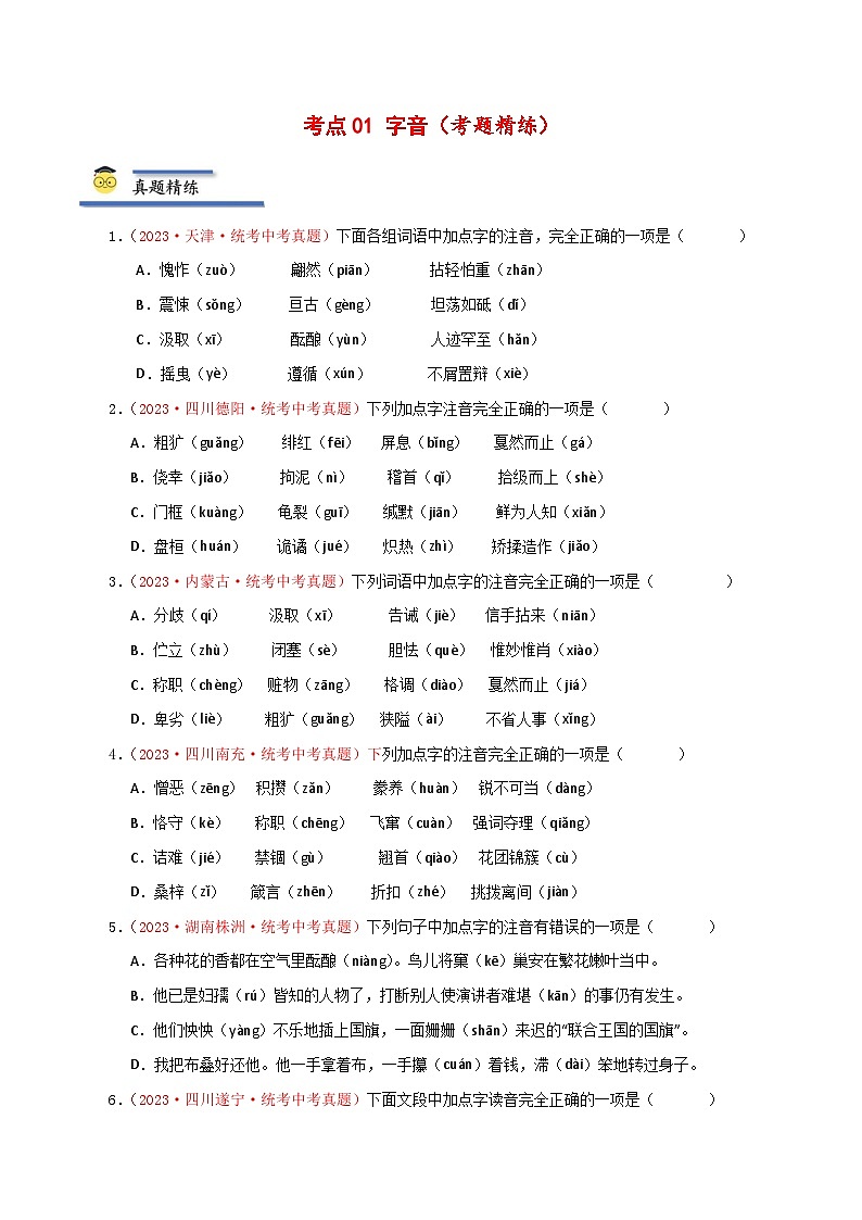 中考语文一轮复习考点归纳与考题精练考点01 字音（考题精练）（原卷版）第1页