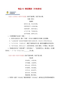 中考语文一轮复习考点归纳与考题精练考点10 诗词赏析（考题精练）（2份，原卷版+解析版）