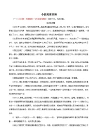部编版初中语文七年级下册知识梳理与能力训练03 小说阅读训练（含解析）