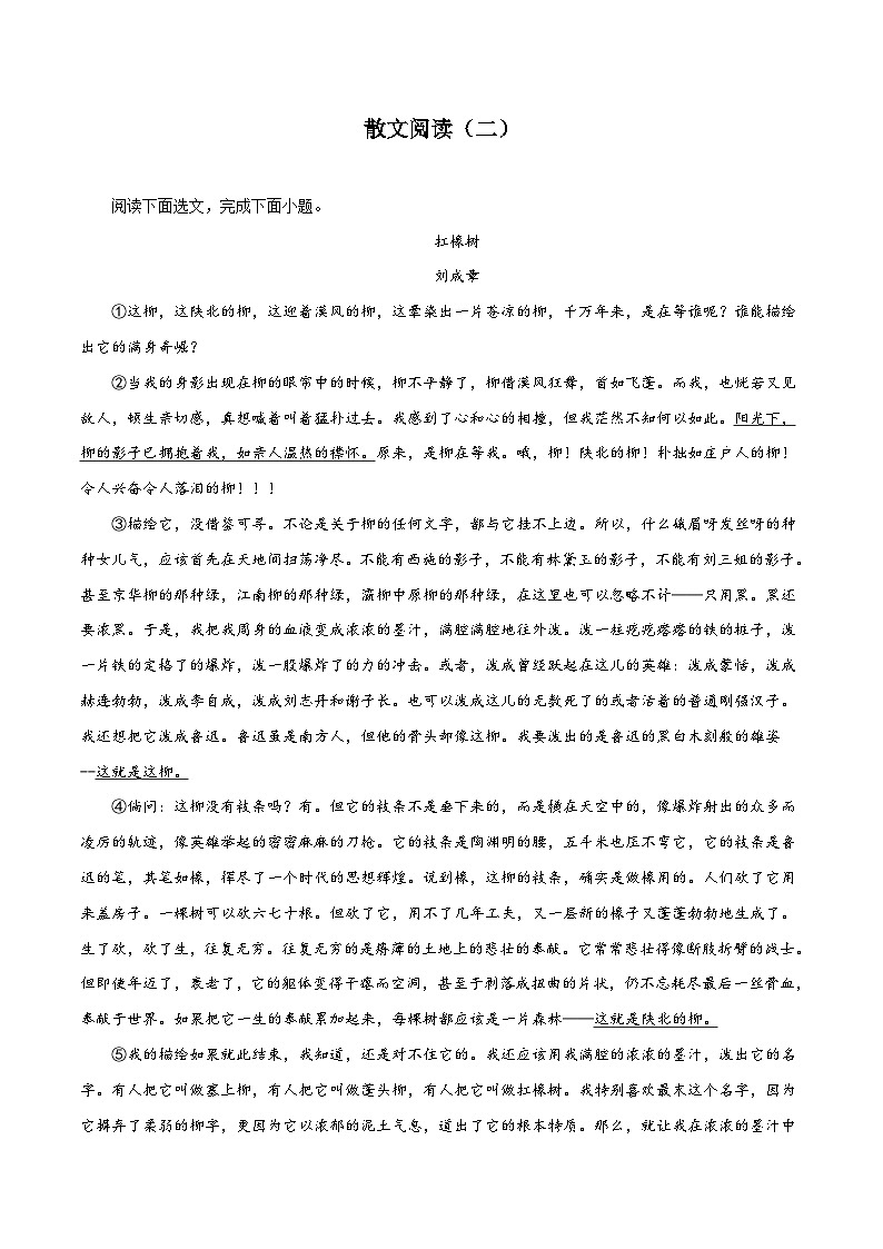 部编版初中语文八年级上册知识梳理与能力训练05 散文阅读（二）（含解析）第1页