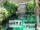 部编版2024八年级下册语文 20 一滴水经过丽江 精品课件