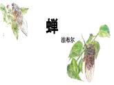 统编版语文八年级上册第21课《蝉》（课件）