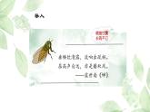 统编版语文八年级上册第21课《蝉》课件