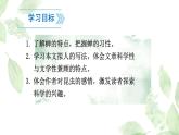 统编版语文八年级上册第21课《蝉》课件