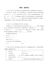 中考语文真题分项汇编(浙江专用)专题01：基础知识(原卷版+解析)