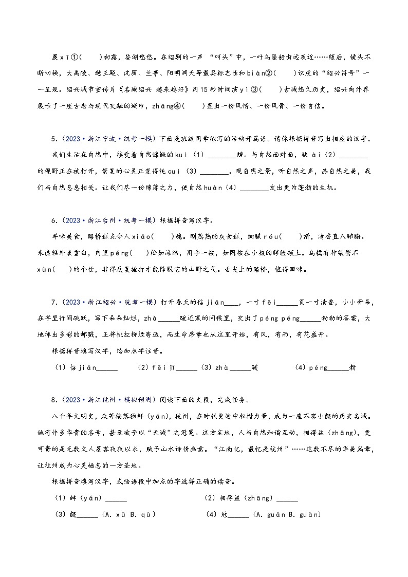 中考语文精选题集(浙江专用)专题01字音字形(原卷版+解析)第2页