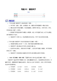 中考语文二轮复习文学名著必考篇目分层训练专题03 骆驼祥子（2份，原卷版+解析版）