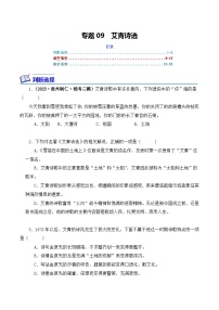 中考语文二轮复习文学名著必考篇目分层训练专题09 艾青诗选（2份，原卷版+解析版）