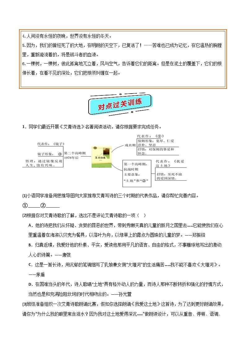 中考语文一轮复习名著导读练习专题10 九上《艾青诗选》（原卷版）第2页