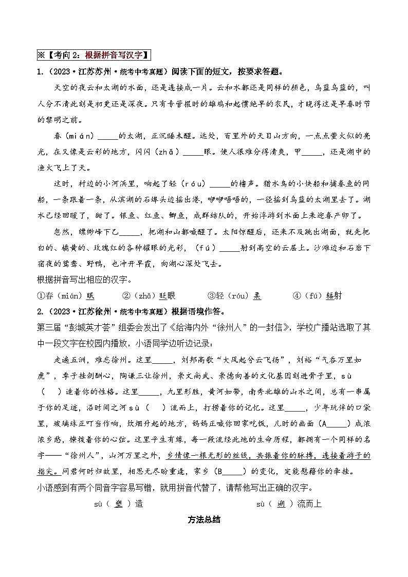 中考语文一轮复习考点讲与练考点一  字音、字形（重难讲义） （解析版）第2页
