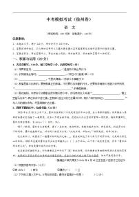 中考语文适应性模拟试卷（徐州卷）（2份，原卷版+解析版）
