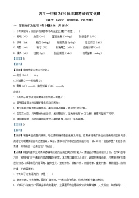 四川省内江市第一中学2024-2025学年九年级上学期期中语文试题（解析版）-A4