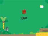 初中语文人教部编版八年级上册 21  蝉  课件