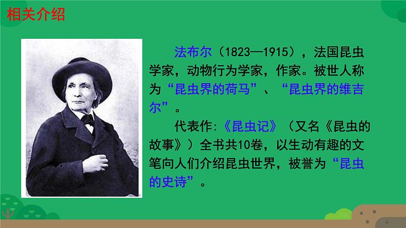 初中语文人教部编版八年级上册 21  蝉  课件第3页