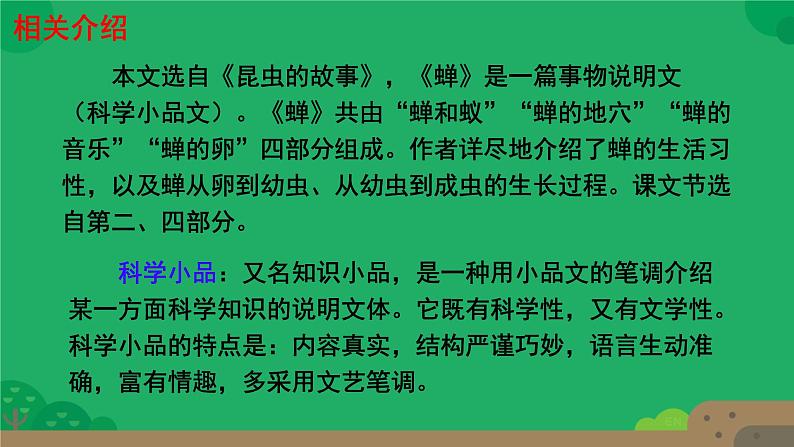 初中语文人教部编版八年级上册 21  蝉  课件第4页