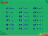 初中语文人教部编版八年级上册 21  蝉  课件