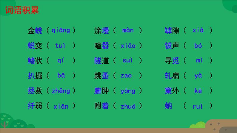 初中语文人教部编版八年级上册 21  蝉  课件第5页
