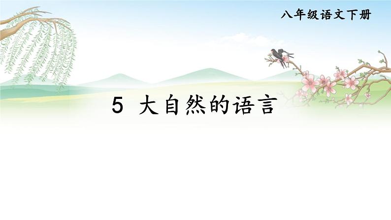 部编版2024八年级语文下册5 大自然的语言 课件第1页