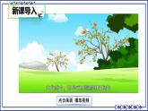 部编版2024八年级语文下册5 大自然的语言 课件