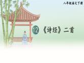 部编版2024八年级语文下册12 《诗经》二首 课件