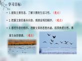 统编版语文七年级上册（2024）第19课《大雁归来》教学课件（2024）