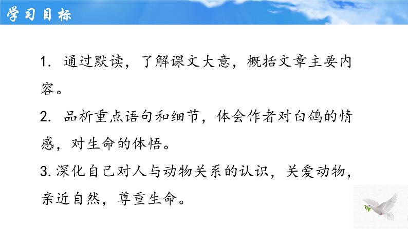 统编版语文七年级上册第18课《我的白鸽》课件第2页