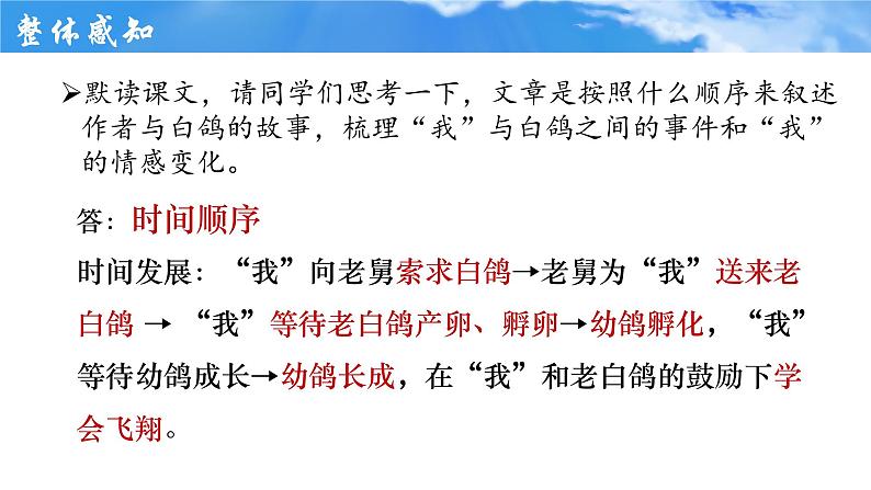 统编版语文七年级上册第18课《我的白鸽》课件第7页