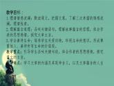 第17课《猫》课件-2024-2025学年统编版语文七年级上册（2024）