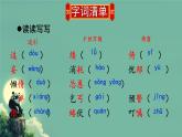 第17课《猫》课件-2024-2025学年统编版语文七年级上册（2024）
