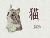 第17课《猫》课件2024—2025学年统编版语文七年级上册