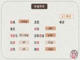 第17课《猫》课件2024—2025学年统编版语文七年级上册