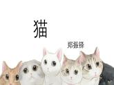第17课《猫》课件2024-2025学年统编版语文七年级上册