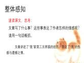 第17课《猫》课件2024-2025学年统编版语文七年级上册