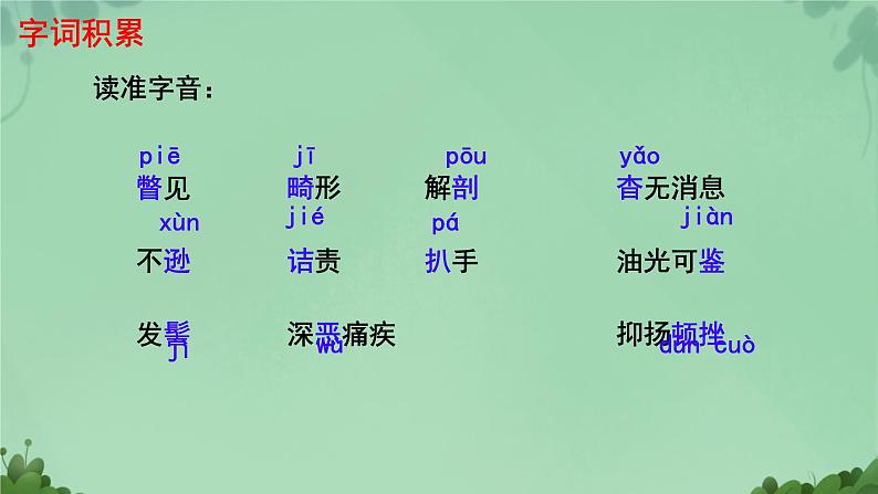 初中语文人教部编版八年级上册 藤野先生   课件第4页