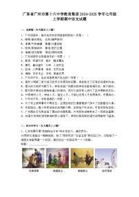 广东省广州市第十六中学教育集团2024-2025学年七年级上学期期中语文试题