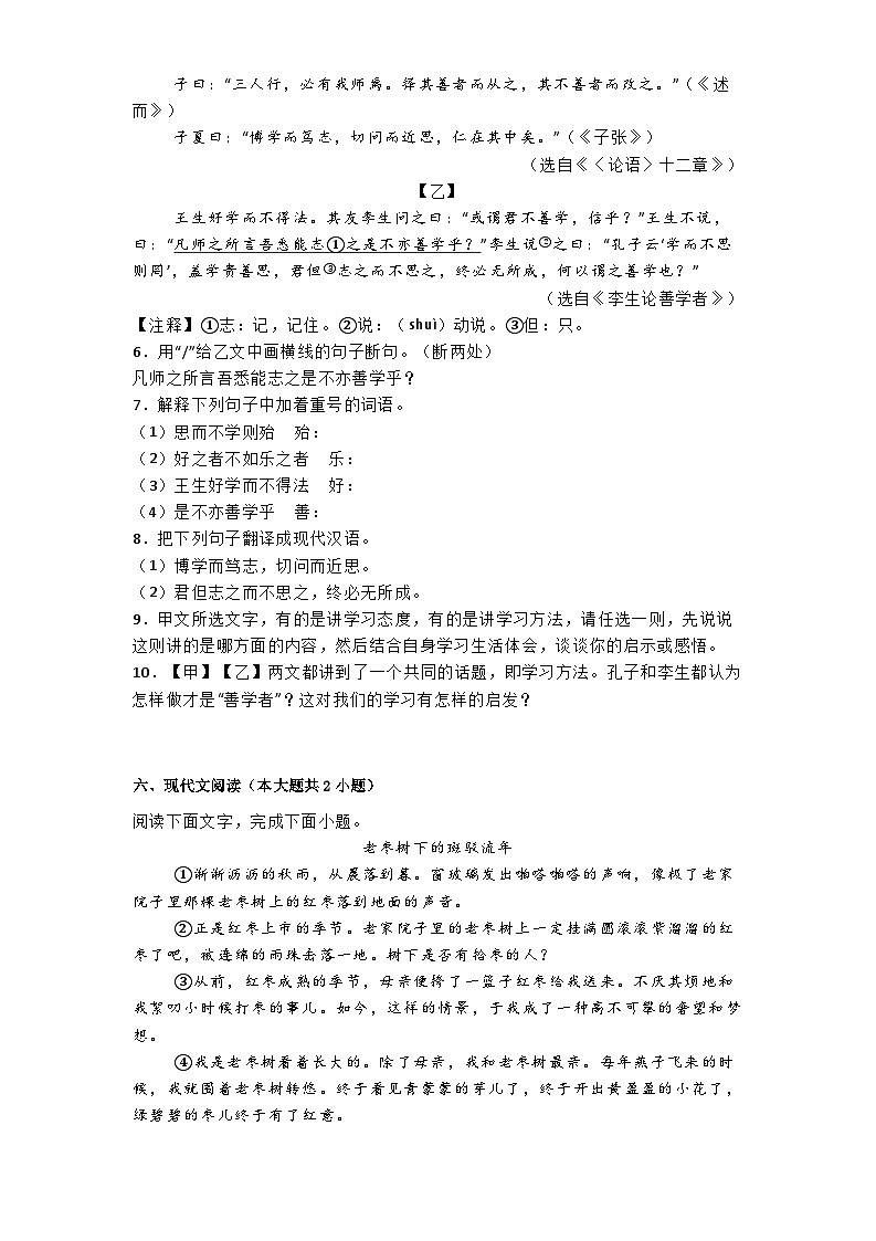 河北省邢台市2024-2025学年七年级上学期期中语文试题第3页