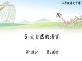部编版2024八年级语文下册 5 大自然的语言 课件