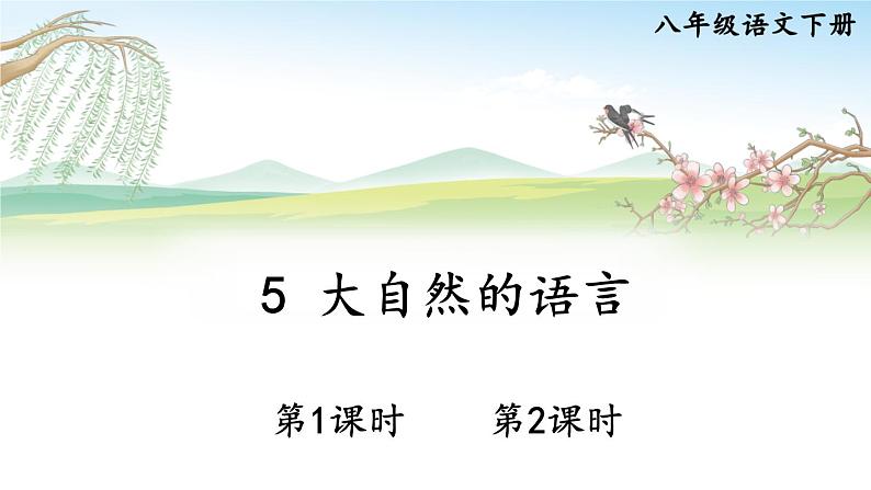 部编版2024八年级语文下册 5 大自然的语言 课件第1页