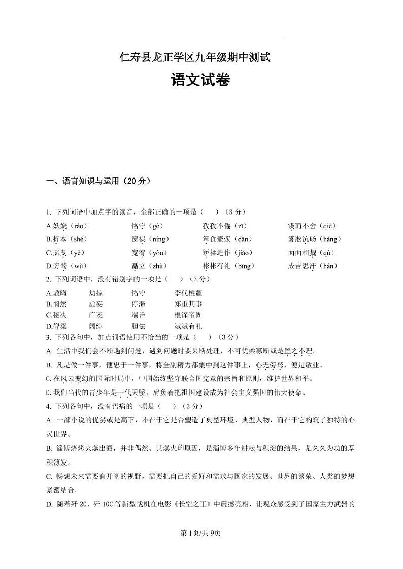 仁寿县龙正学区九年级期中测试语文 试卷第1页