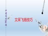 中考语文二轮复习作文写作技巧精讲课件文采飞扬篇