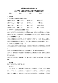 四川省泸县第四中学2024-2025学年七年级上学期11月期中考试语文试卷(含答案)